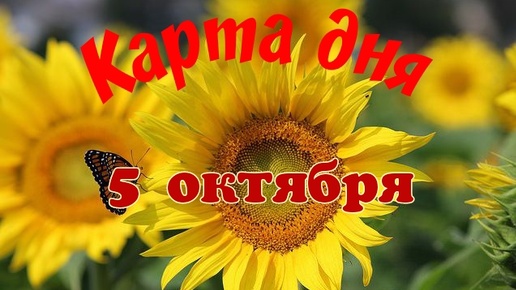 Карта дня🍁5 октября🌞 Ленорман. Тайм-код в описании🦢