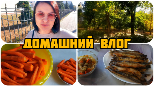 СВОБОДНА НА 3 МЕСЯЦА 😊 КУПИЛА, НЕ ЗАБЫЛА 🤣 СПАСИБО ПОДПИСЧИКАМ ❤ МОЙВА НА УЖИН 🐟