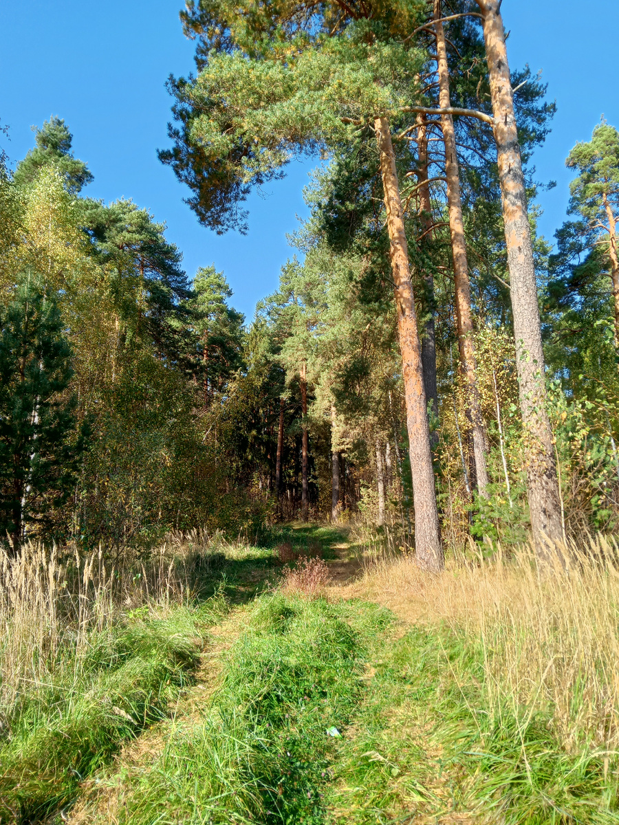 Фото автора.