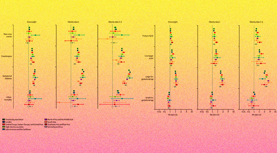   N + 1; Maryam Shirvanifar et al. / The Lancet Public Health, 2024