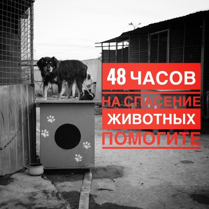Завтра может не наступить… День стольника на АРЕНДУ!