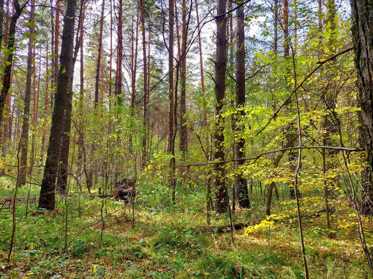 Фото из семейного архива автора канала