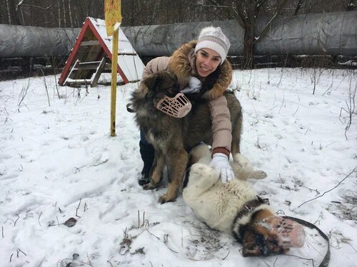 Собаки в этом приюте безумно рады, когда к ним в гости приходит ЧЕЛОВЕК. ФОТО: Яндекс Карты. 