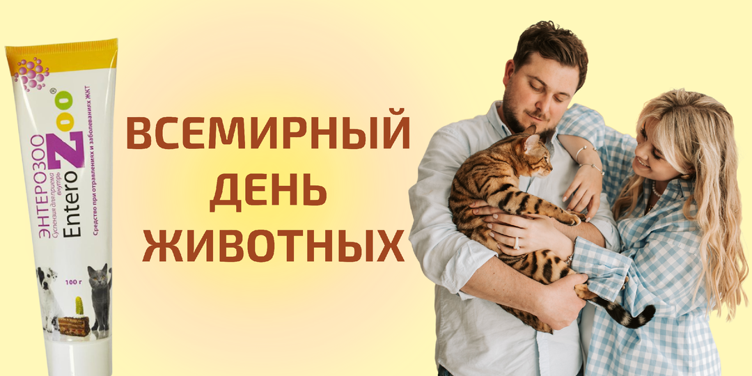 4 октября — Всемирный день животных. И это прекрасный повод порадовать своего питомца 🥰