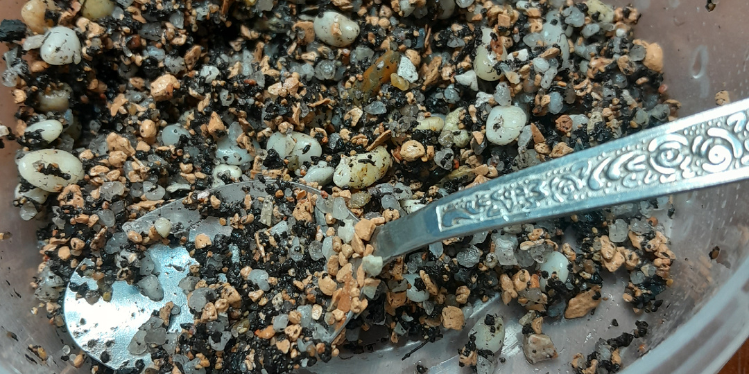 Семена в горшочке