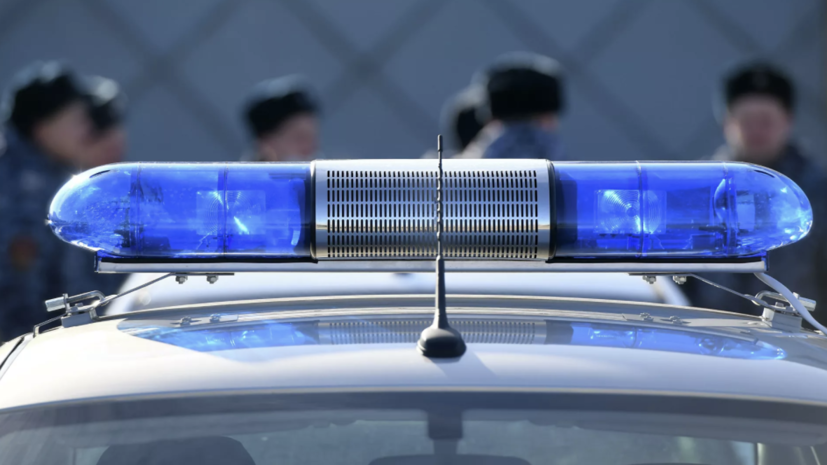   РИА Новости Максим Богодвид