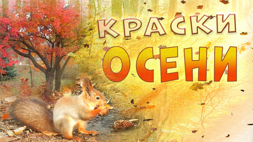 Краски осени. Волгоград. Парк имени Гагарина