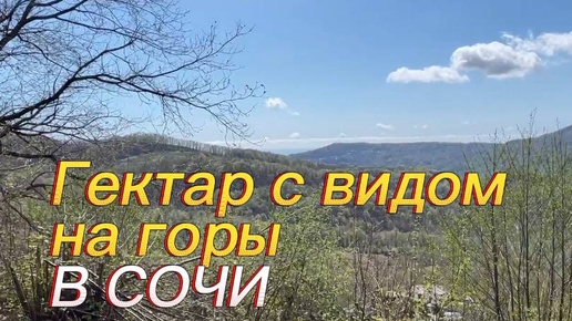 Большой участок в 1 гектар с видом на горы. Участок под глэмпинг. Бизнес в Сочи