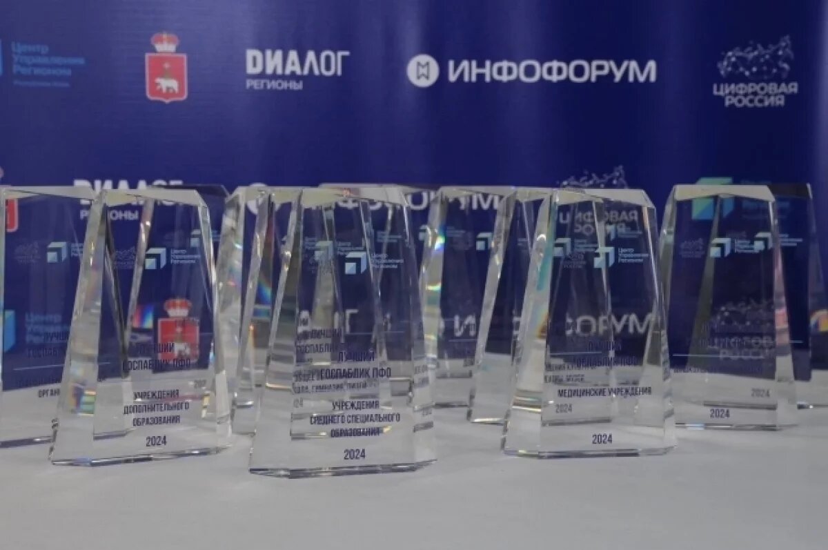    В финале секции наградили победителей и призеров конкурса «Лучший госпаблик ПФО» по 10 номинациям