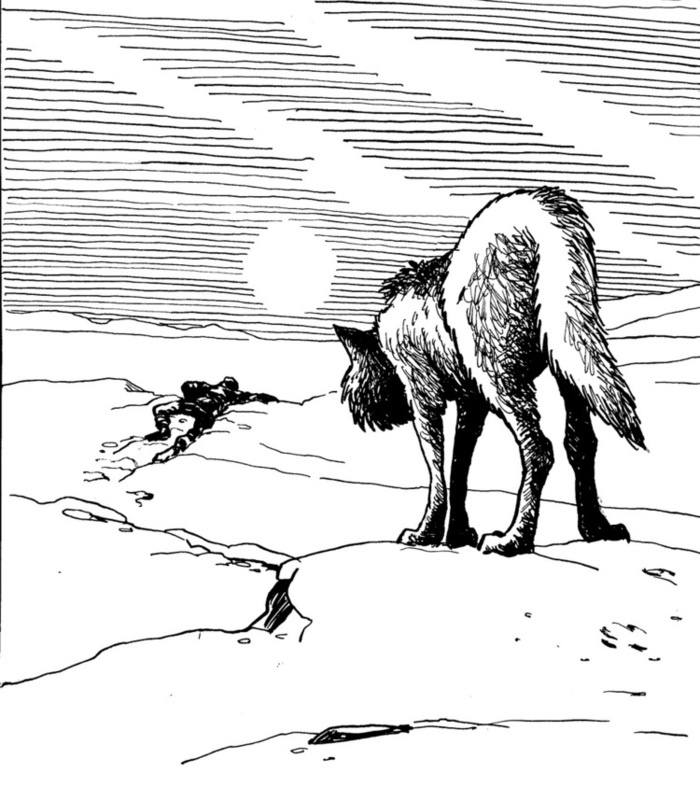 Собравшись с силами, он пошел дальше, терзаясь новым страхом. Это был уже не страх голодной смерти: теперь он боялся умереть насильственной смертью, прежде чем последнее стремление сохранить жизнь заглохнет в нем от голода. Кругом были волки.