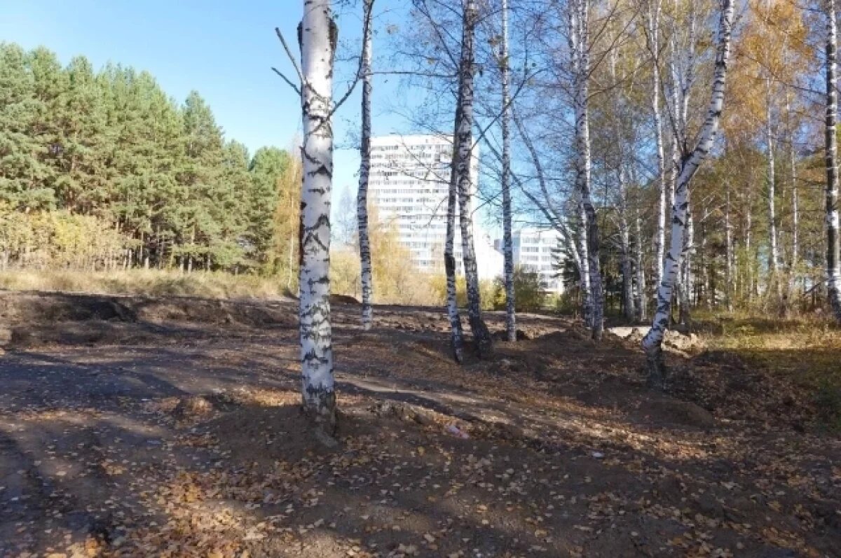    В Кемерове заровняли большой овраг в Серебряном бору