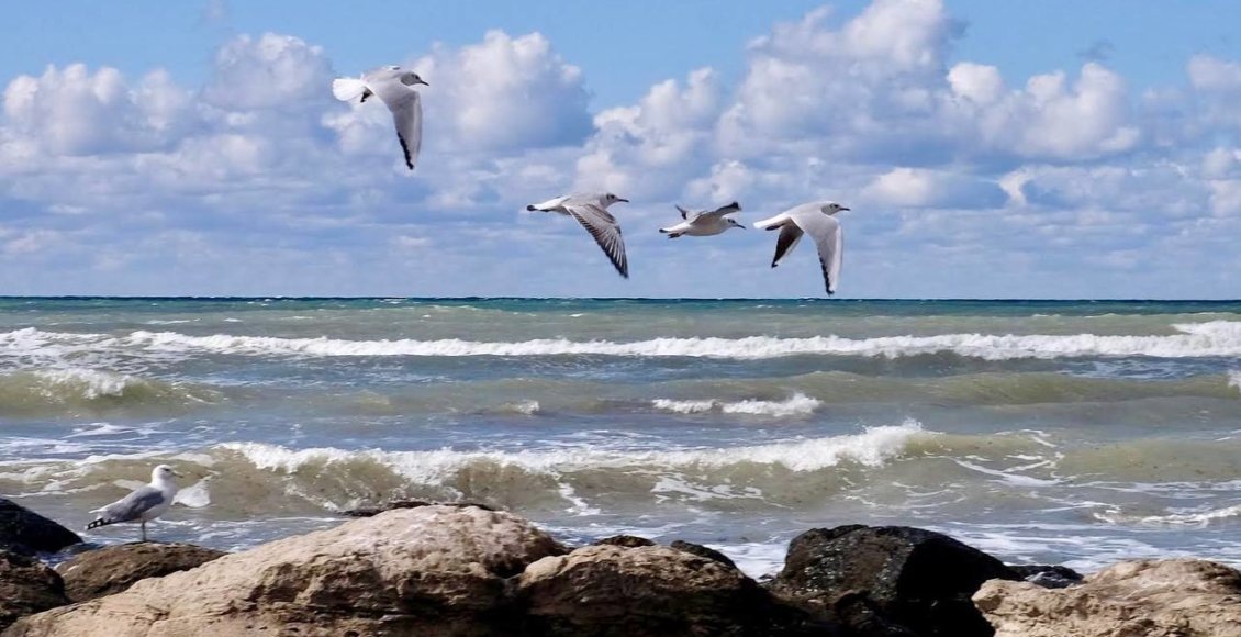    Фото: Росрыболовство