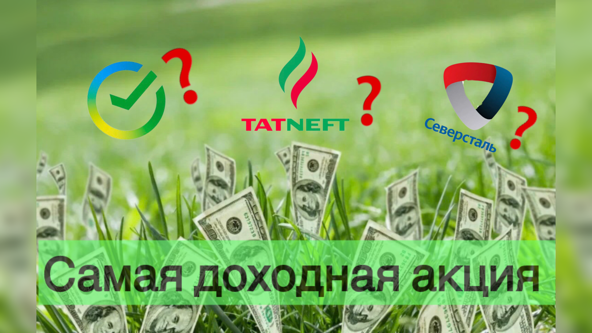 Источник: личный архив + Яндекс картинки 