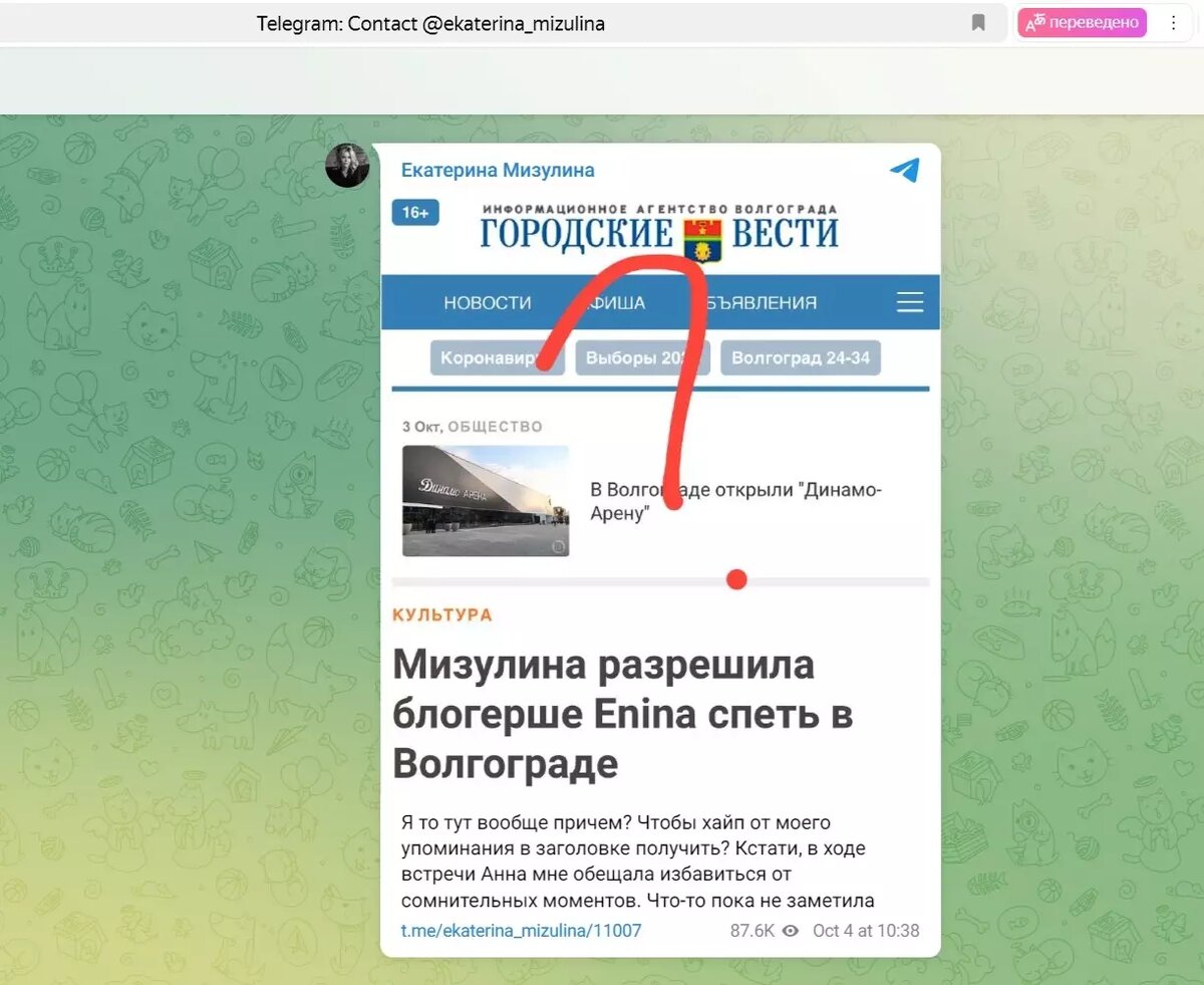     Источник: Скриншот t.me/ekaterina_mizulina