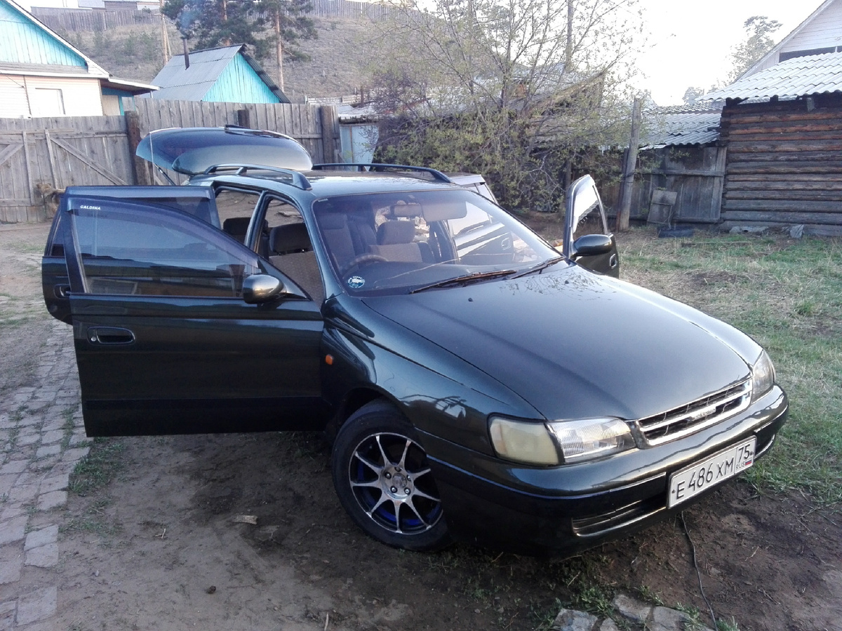 Намытая, набритая перед продажей)