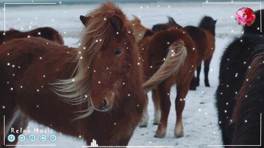 СБОРНИК ЧАРУЮЩЕЙ КРАСИВОЙ МУЗЫКИ! Каждая композиция в этом альбоме — ключ к вашему сердцу, открывающий двери счастья и вдохновения.