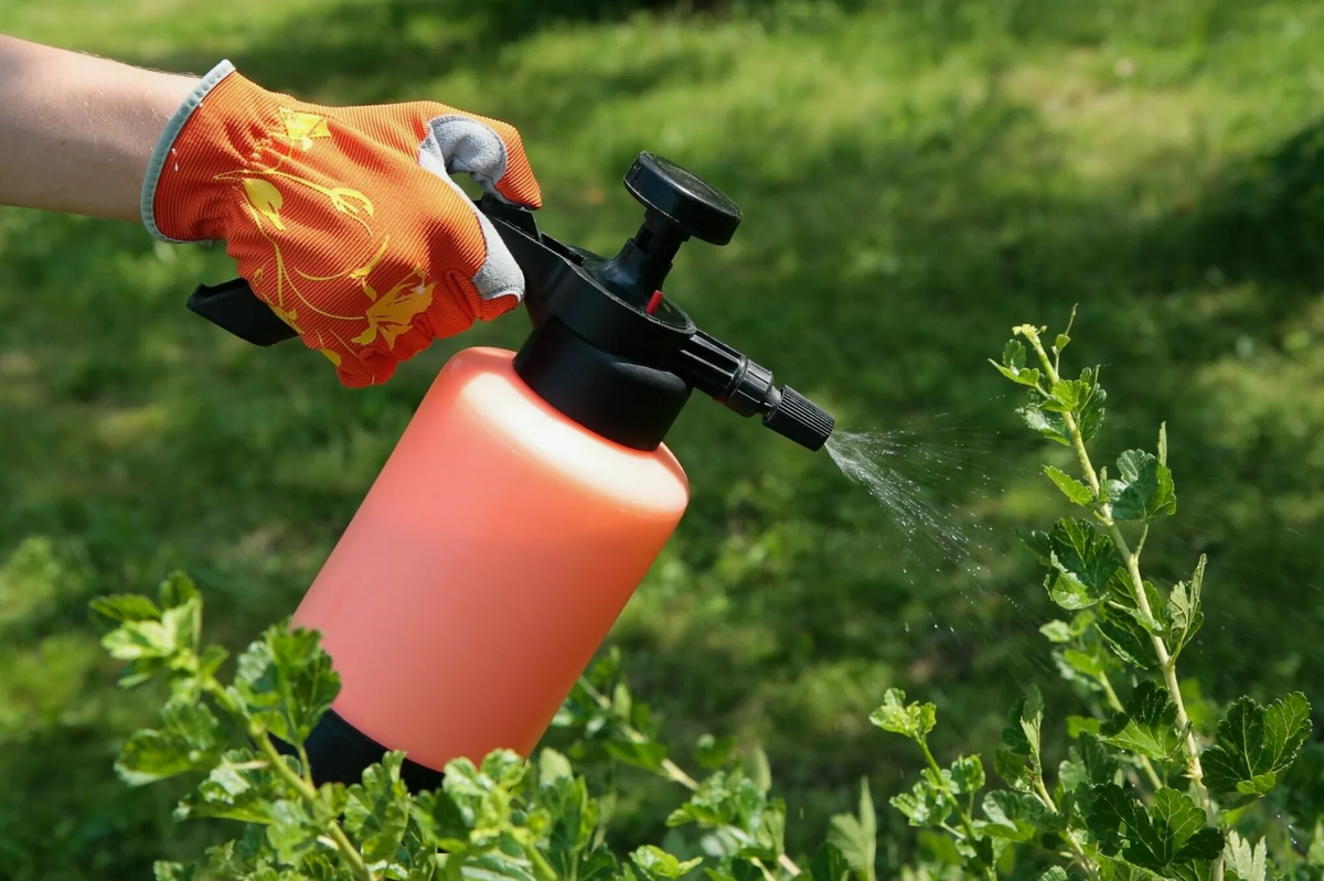 Источник фото: market.yandex.ru