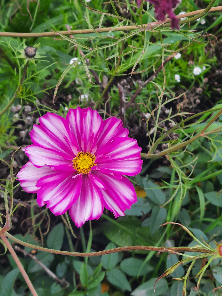 Ах!Фото автора.