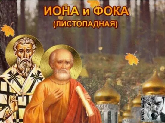 Источник фото: Яндекс Картинки