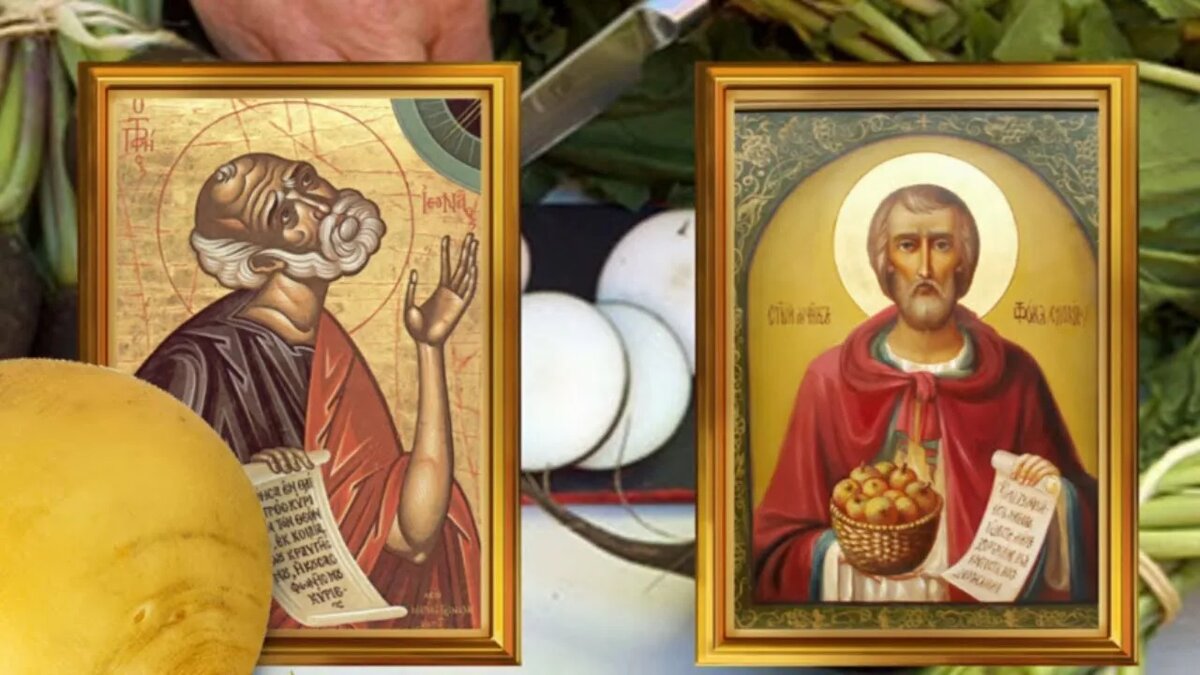 Источник фото: Яндекс Картинки