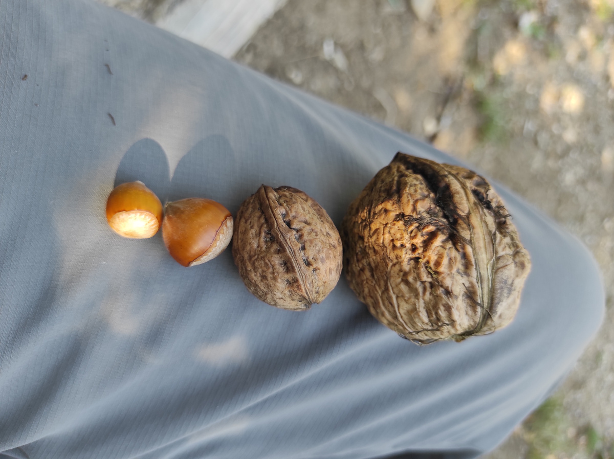 Вот такой размерный ряд)