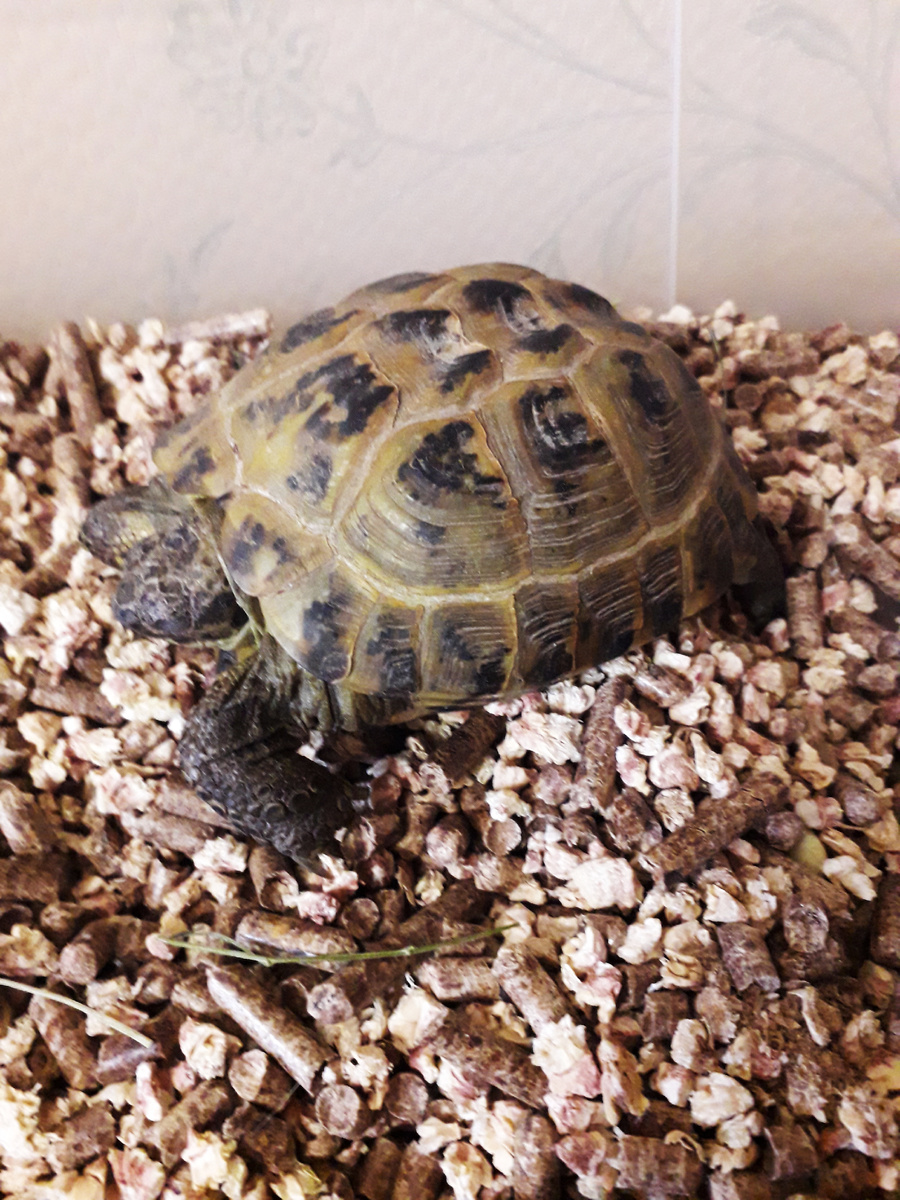 Фото из личного архива