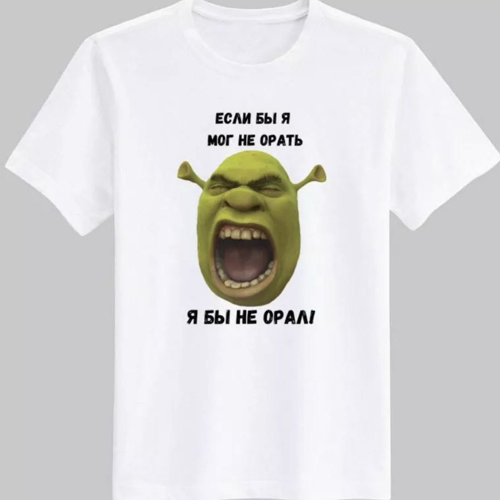 Пример футболки с Шреком. Фото добавлено автором.