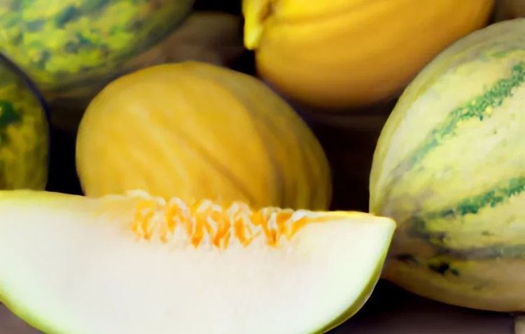    Дынный вопрос встал между Россией и Казахстаном