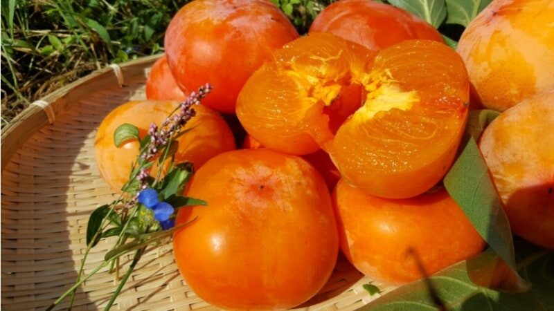 Созревшая сладкая хурма (감홍시). Источник: https://blog.naver.com/skyblue0468/220827946407