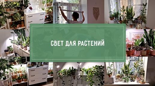 СВЕТ для РАСТЕНИЙ