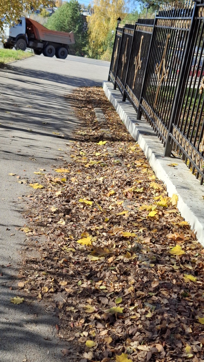 Улица города. Листва облетела и лежит вдоль дорожек