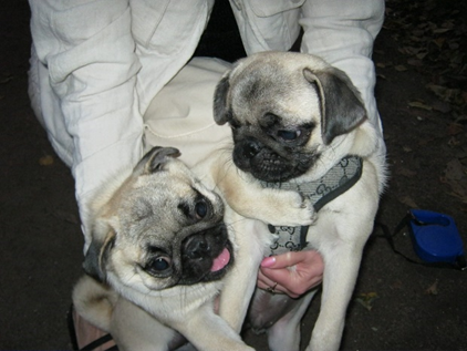 Фотография Анастасии Битюковой