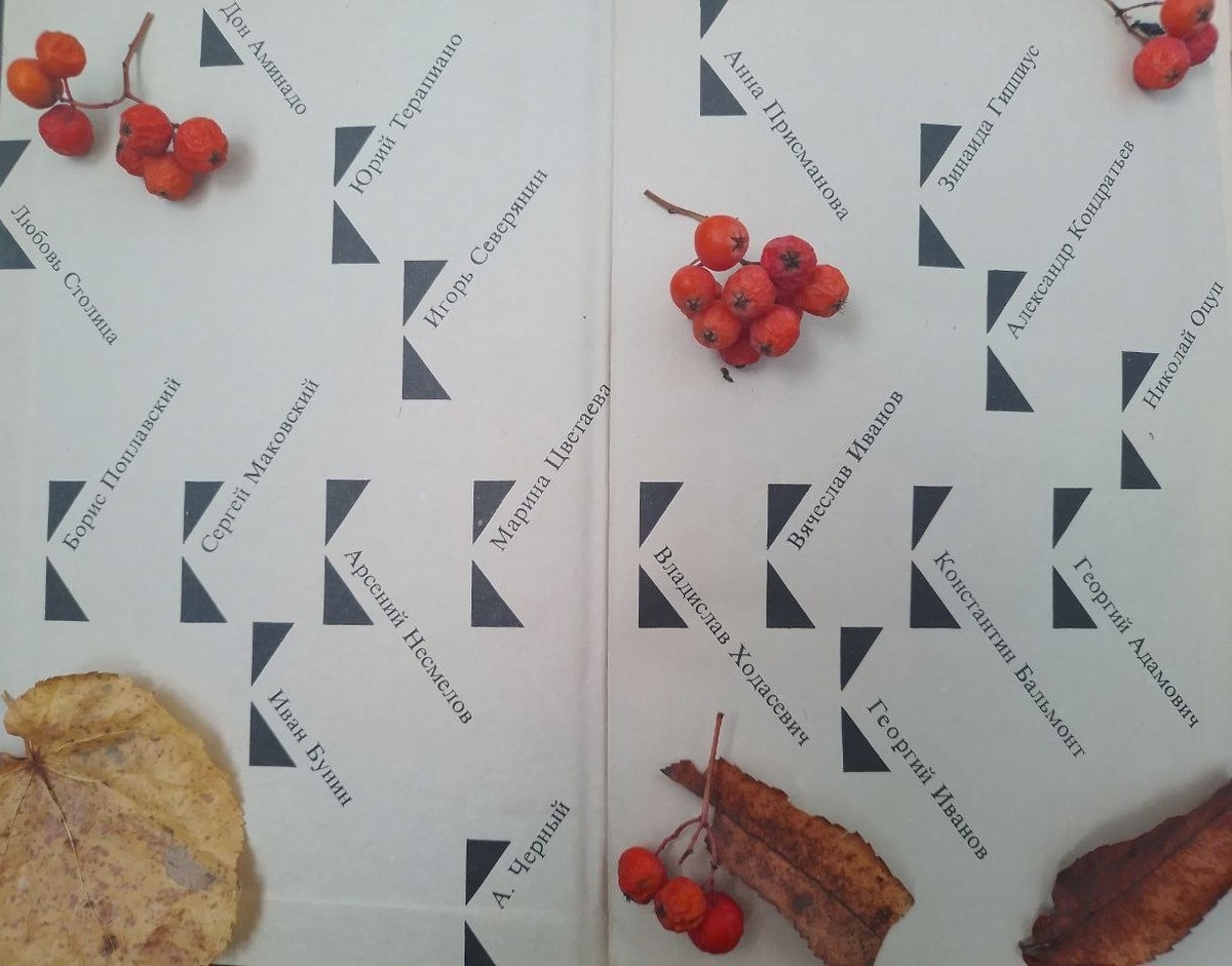 Форзац книги