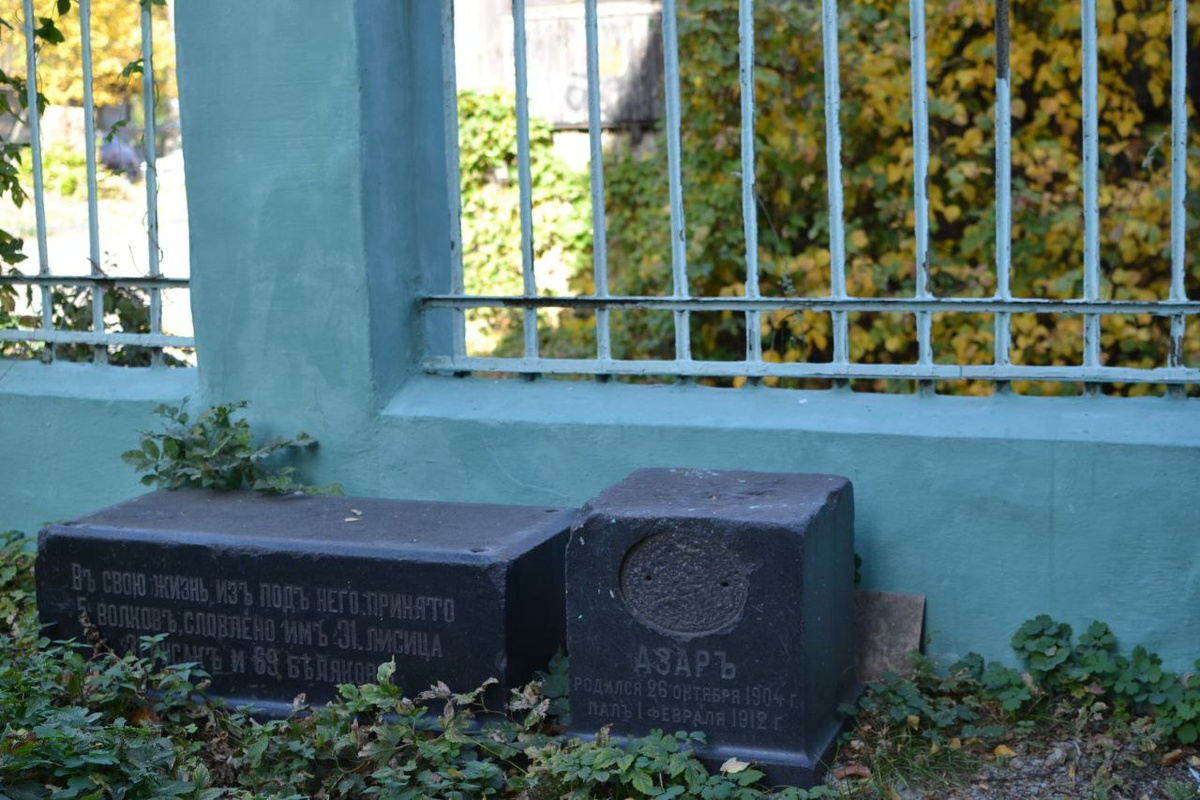 Собачьи надгробия на территории краеведческого музея Пензы. Те самые. В галерее три фото, листайте. Фотографии мои