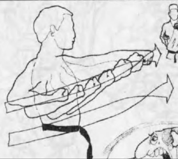 схема выполнения чёку цзуки