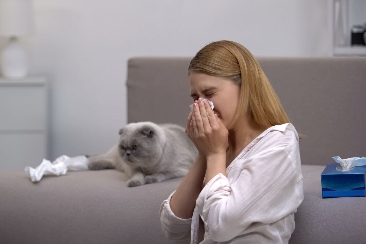 Симптомы аллергии на кошек 
