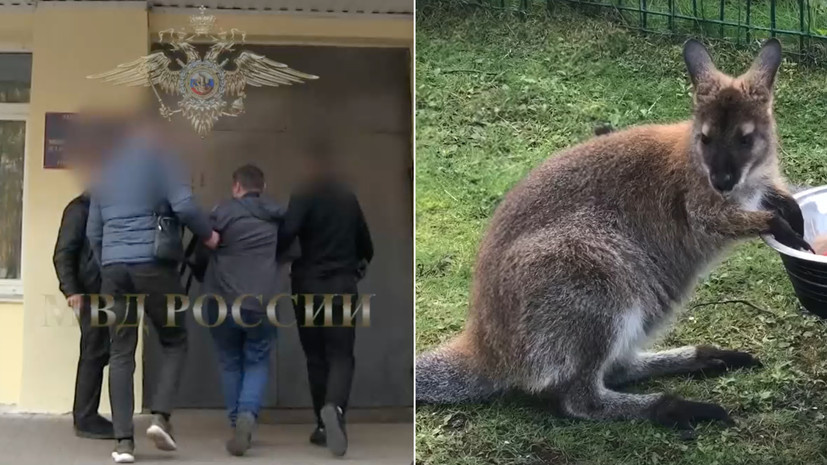    МВД России