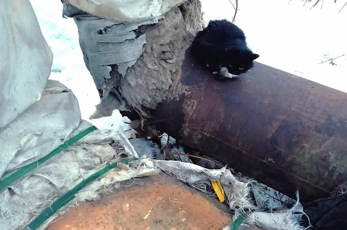    В Омске 300 домов будут подключать к отоплению вручную
