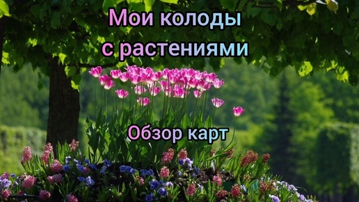 Обзор колод, посвященный тематике деревьев 🌳🌲 и цветов 🌺🪷 Исцеляющая магия растений