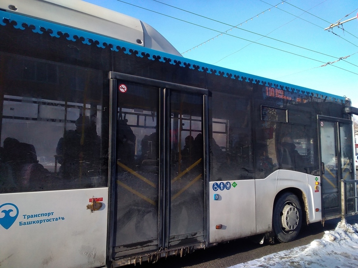 Фото: ® UfacityNews.ru