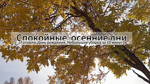 ГОТОВЛЮ. ДЕНЬ РОЖДЕНИЯ. НЕБОЛЬШАЯ УБОРКА ЗА 15 МИНУТ: спокойные осенние дни..