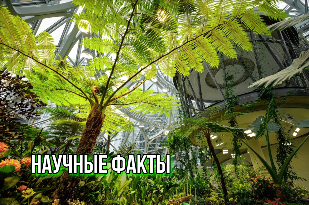 Доказано, что природа все-таки влияет на наше здоровье 