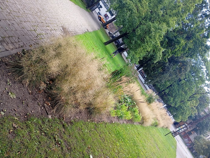 Рига, 8 августа 2024