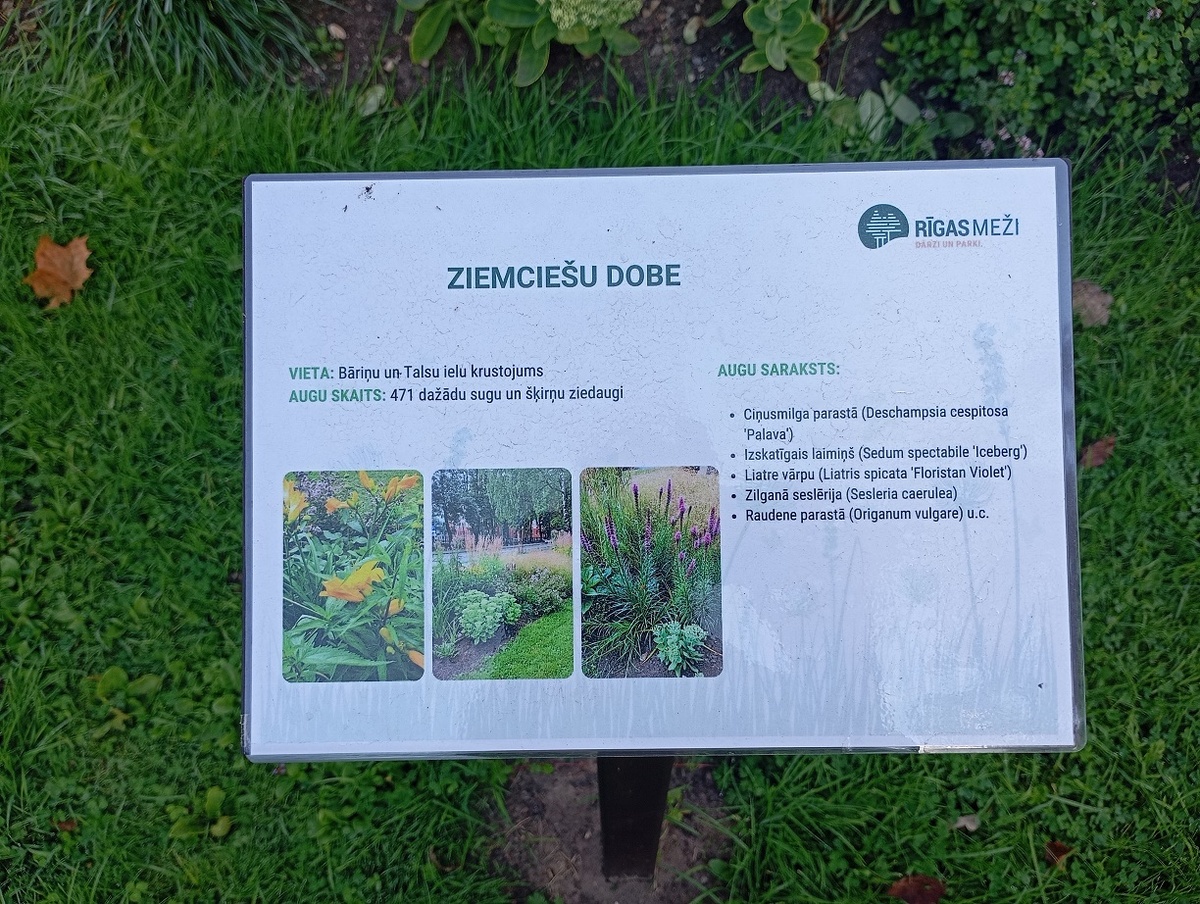 Рига, 8 августа 2024