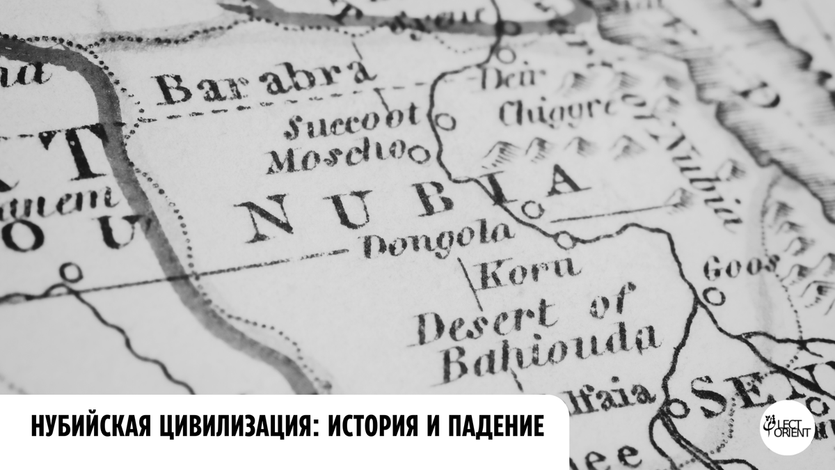 Фото взято в открытом фотостоке Canva