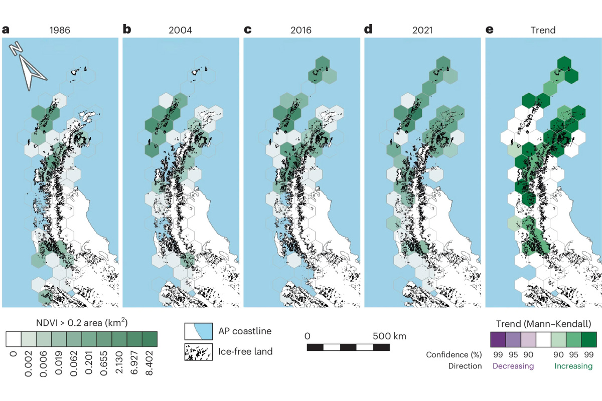 University of Exeter📷Графика, демонстрирующая стремительное озеленение Антарктиды за последние 35 лет