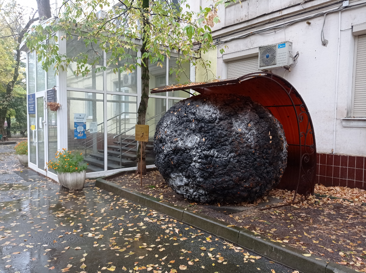 Макет астероида. Москва. Фото автора статьи  