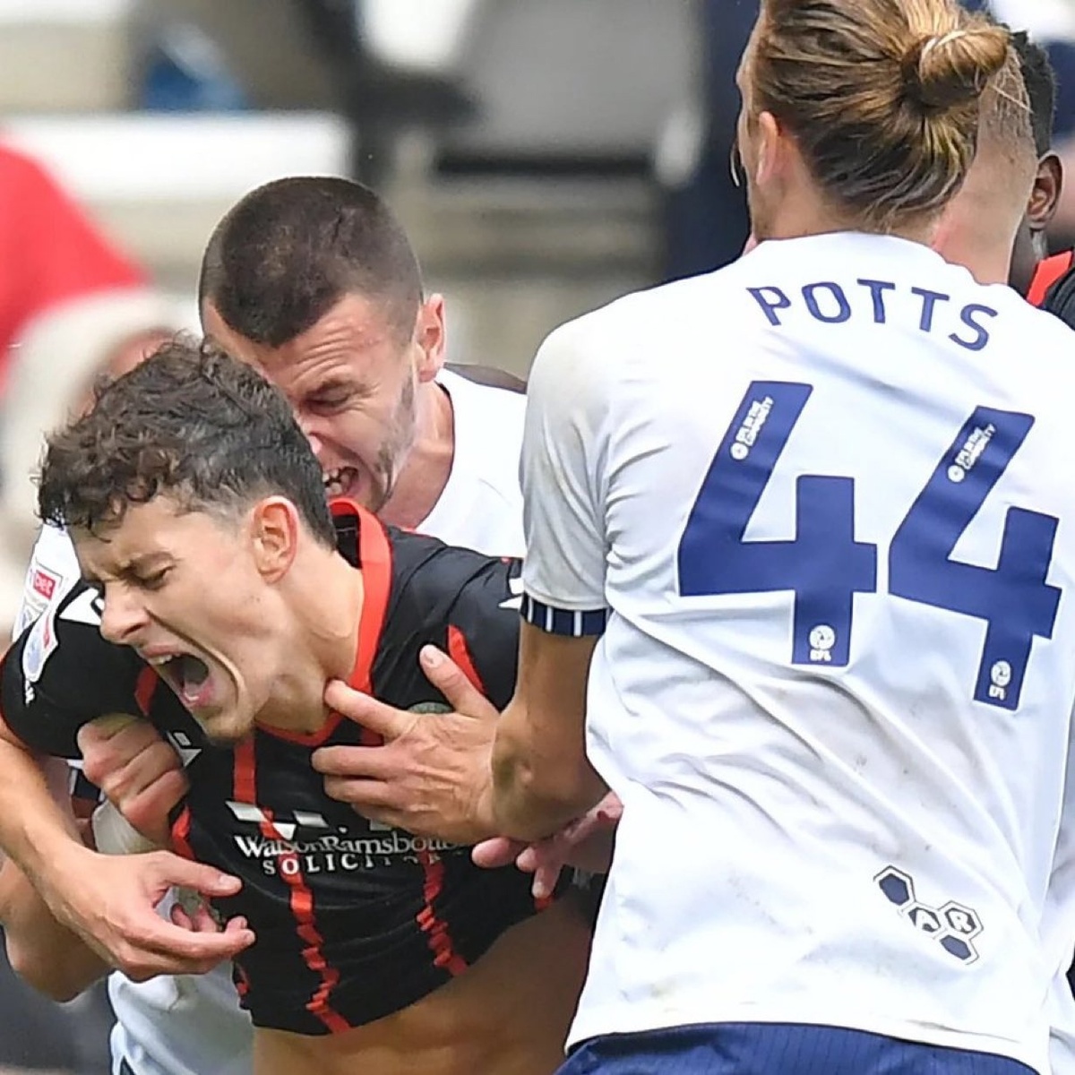 Листайте вправо, чтобы увидеть больше изображений