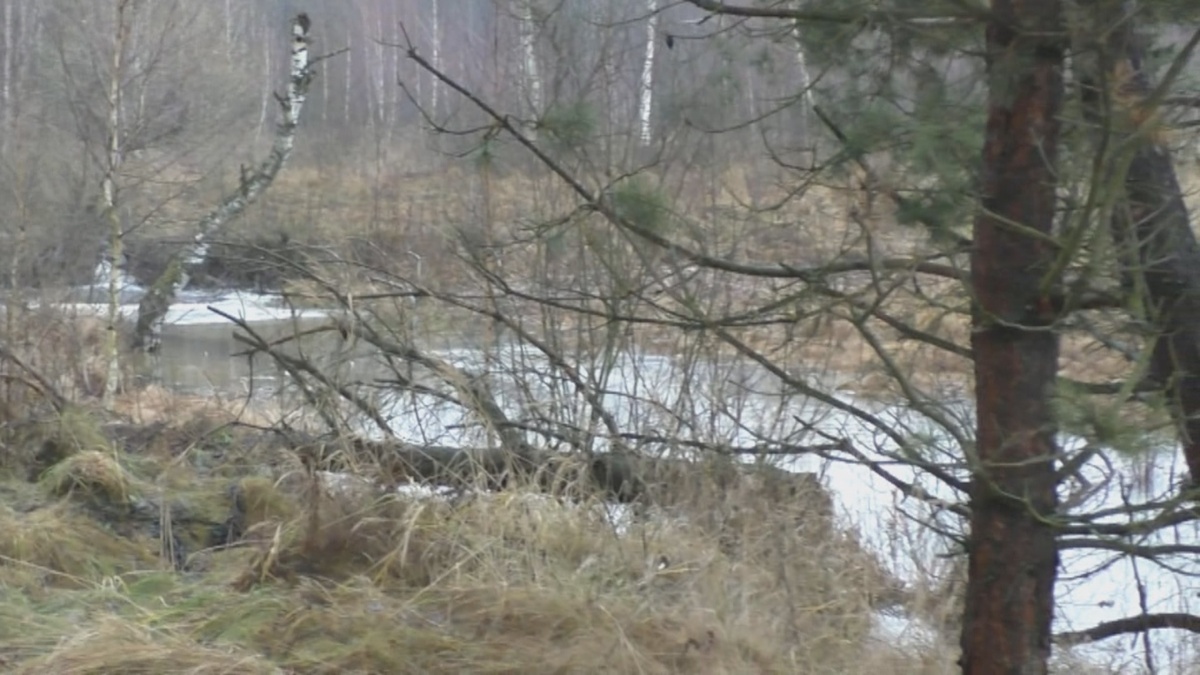 Последний раз я был на пруду еще до морозов...