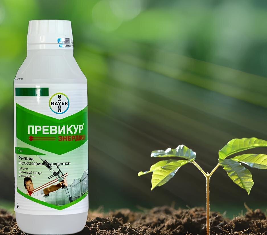    Фунгицид «Превикур Энерджи»market.yandex.ru